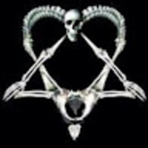 Meet your Posher, Meow - Picture 1 of 1